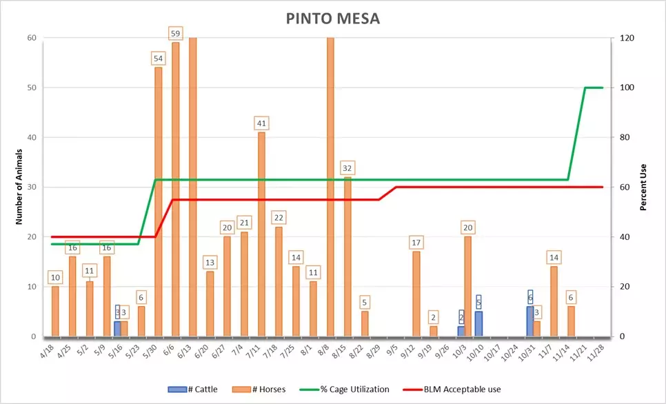 Pinto Mesa Graph
