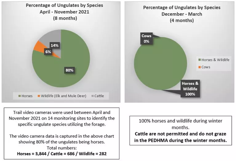 Percentage of Ungulates by Species